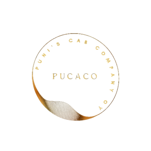 Läpinäkyvä Pucaco-logo